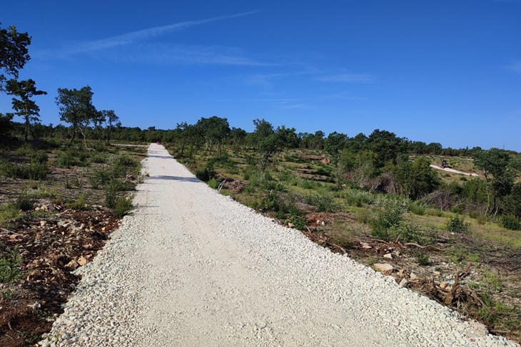 Od jedne šume do 91 parcele 