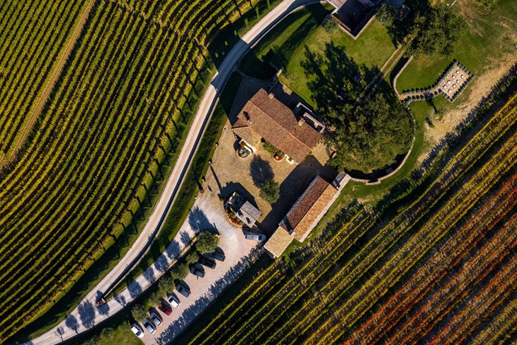Vinarija Kabola Momjan (Foto: Vinistra)