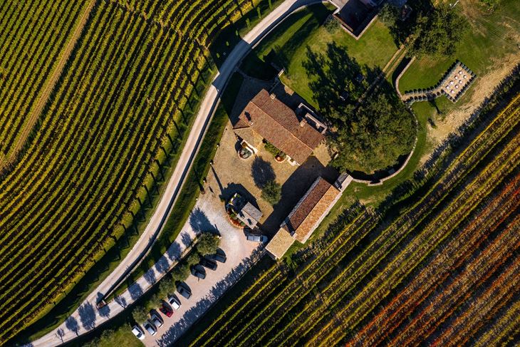 Vinarija Kabola Momjan (Foto: Vinistra)