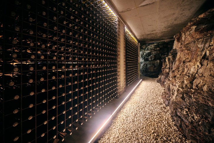 Taste Istria
