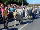 Najljepši, najposlušniji i najteži (Snimio Dejan Štifanić)