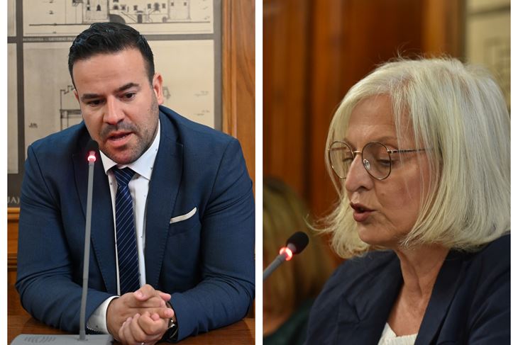 Filip Zoričić / Dušica Radojčić