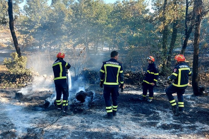 Veliki požari ove su godine bili u Valdebeku, Pinezićima te na području Bala i Rovinja