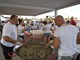 GALIZANA,15 08 2022,GALIZANSKA FESTA,FESTA OD PUZISnimio Danilo MEMEDOVIC