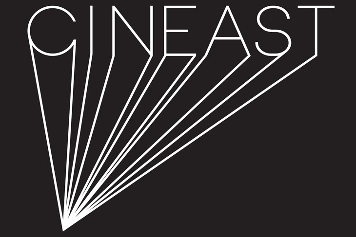Art kino Cineast, Vodnjan