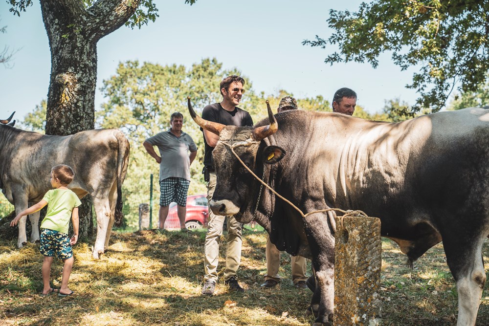 (Foto: Općina Žminj)