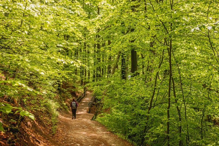 Medvednica (foto Julien Duval)