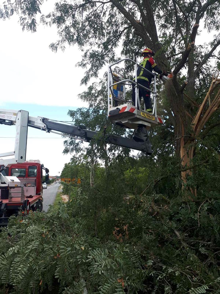 (Foto: JVP Rovinj - Rovigno)