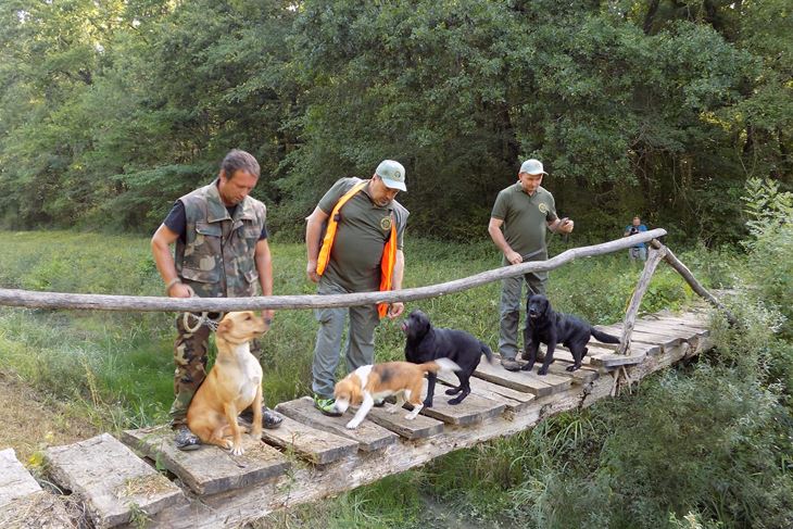  MOTOVUNSKA ŠUMA - otvaranje sezone bijelog  tartufa, udruga tartufara istra (snimila Gordana ČALIĆ ŠVERKO)