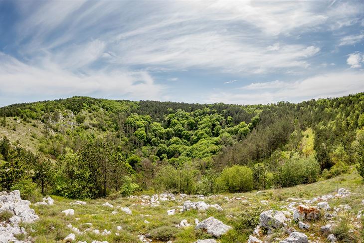 Uz Sopajac veže se legenda o nevidljivosti, zanimljivo je, ali ne isprobavajte čaroliju (Foto: TZ središnje Istre)