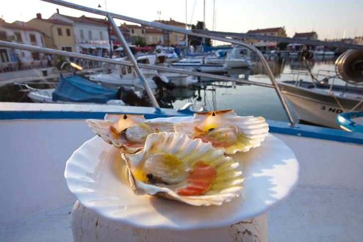 (Foto TZ Novigrad)