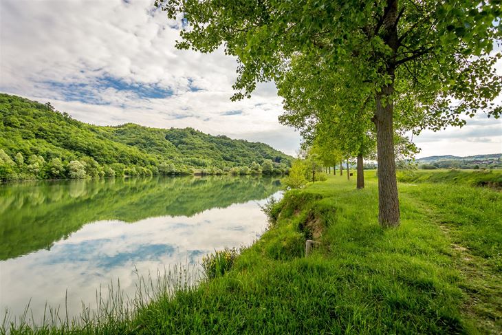 (foto TZ središnje Istre)