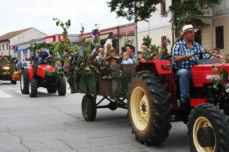 Nakon dvije godine vraća se povorka alegorijskih kola (FOto Luka Jelavić)