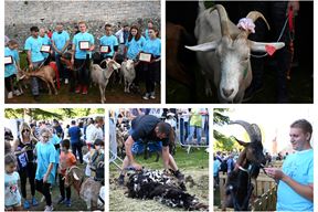 (Snimio Danilo Memedović)