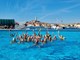 (Foto: Vaterpolo klub Delfin Rovinj)