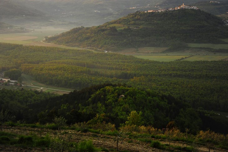 U Motovunskoj dolini pripremljeno mnogo drva za Veneciju