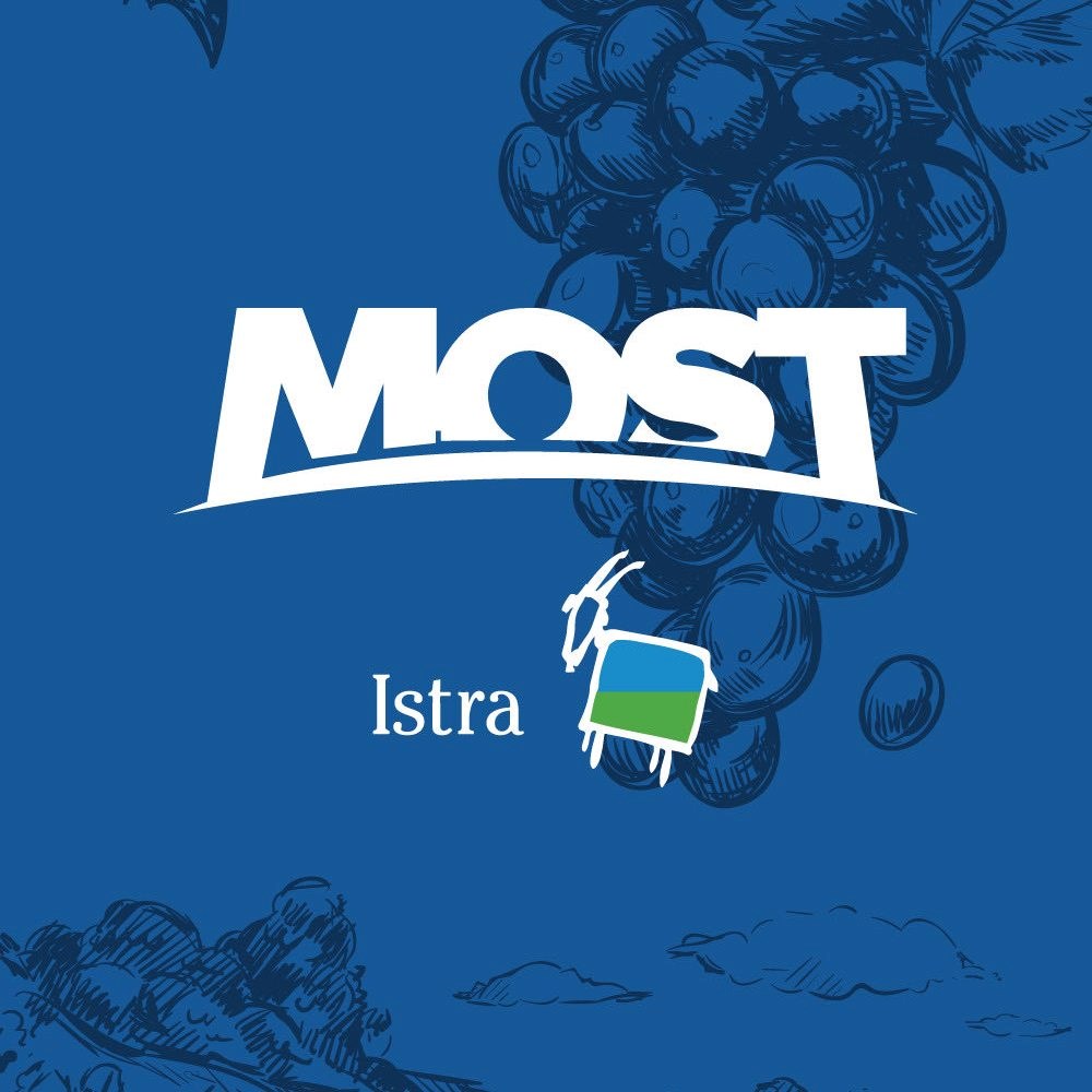 Novi logotip istarskog Mosta