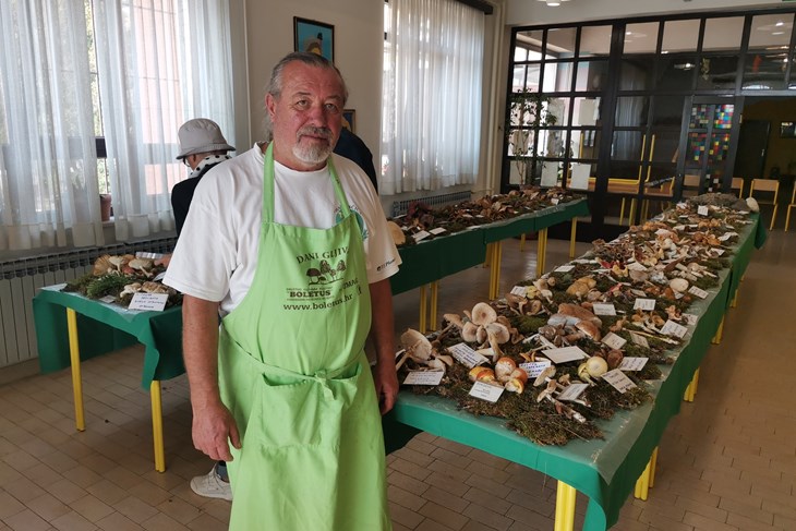 Izloženo čak 137 vrsta gljiva (Snimio Branko Biočić)