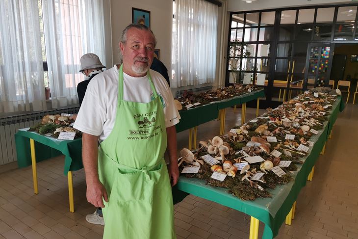 Izloženo čak 137 vrsta gljiva (Snimio Branko Biočić)