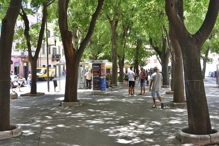 Odvjetnički ured na meti policije nalazi se na Giardinima (snimio Duško MARUŠIĆ ČIČI)