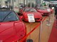Sajam automobila u Padovi (snimila L. Bagar)