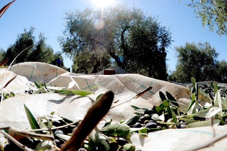 Ilustracija (Foto arhiv Glasa Istre)