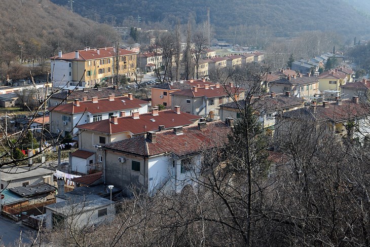 Raša (foto: Arhiva)