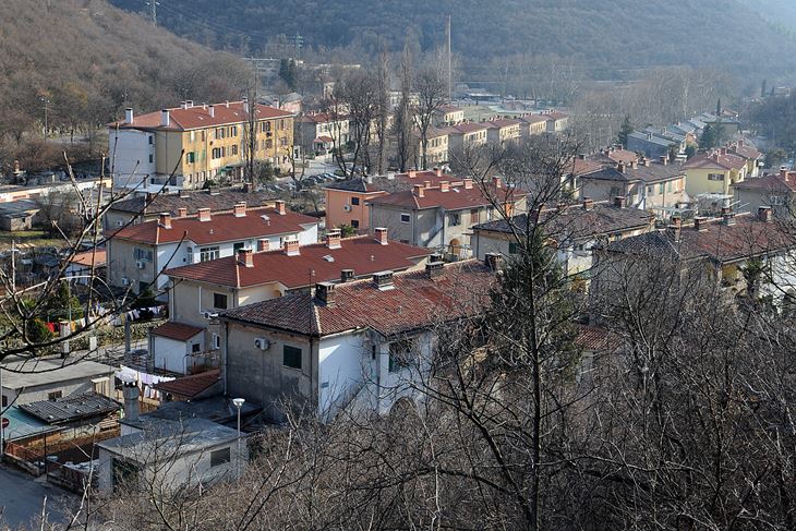 Raša (foto: Arhiva)