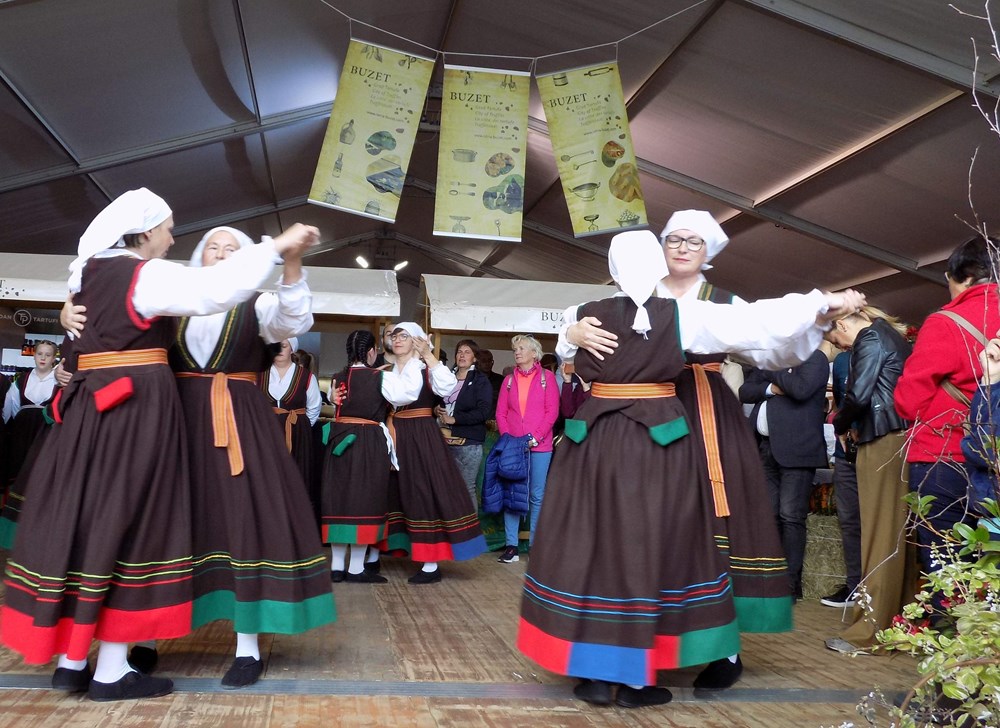 Folkorna sekcija buzetskog "Sokola" 