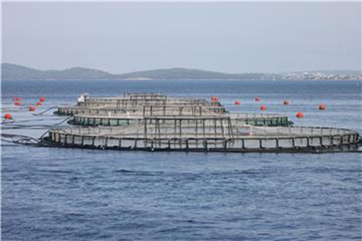 (Hina/EPA)