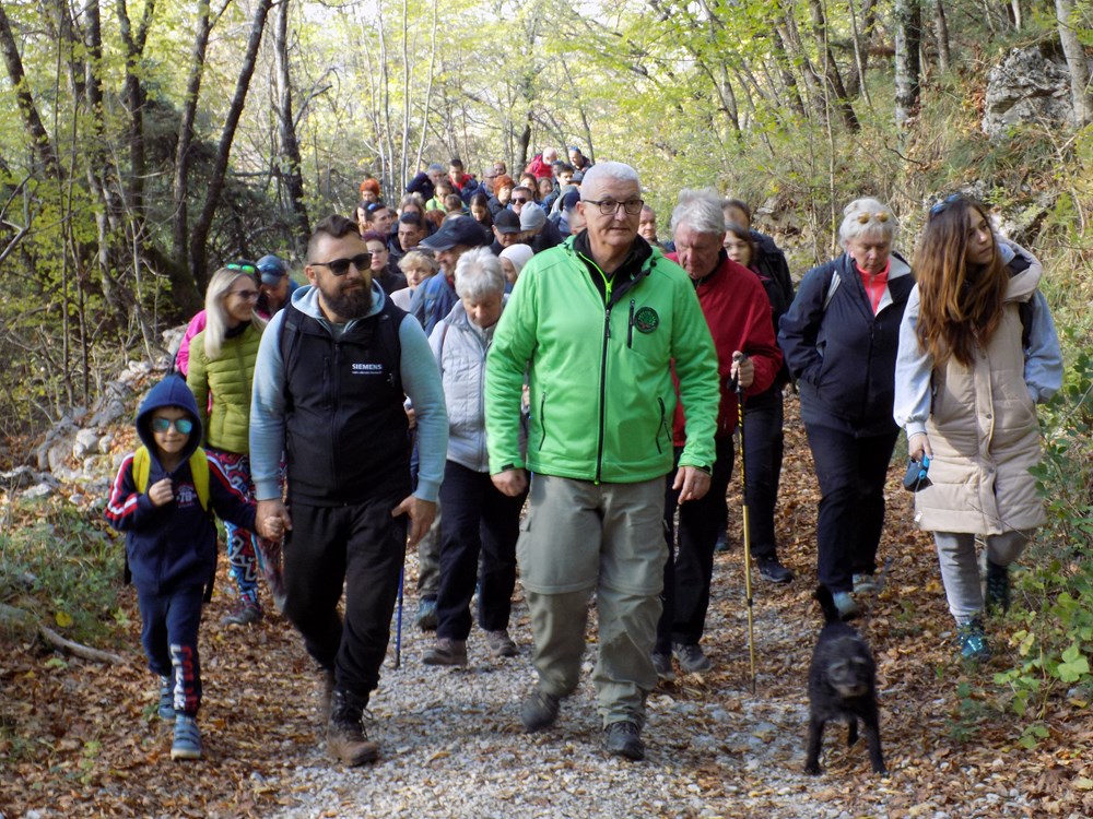 Festival šuma i šumskih plodova