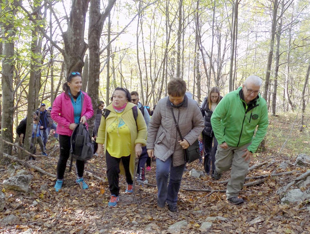 Festival šuma i šumskih plodova