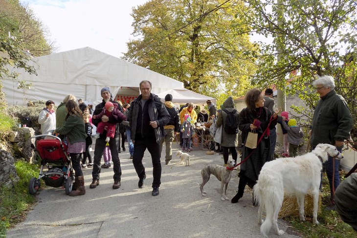 Festival šuma i šumskih plodova