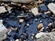 Čišćenje obale u Ližnjanu (snimio Milivoj MIJOŠEK)