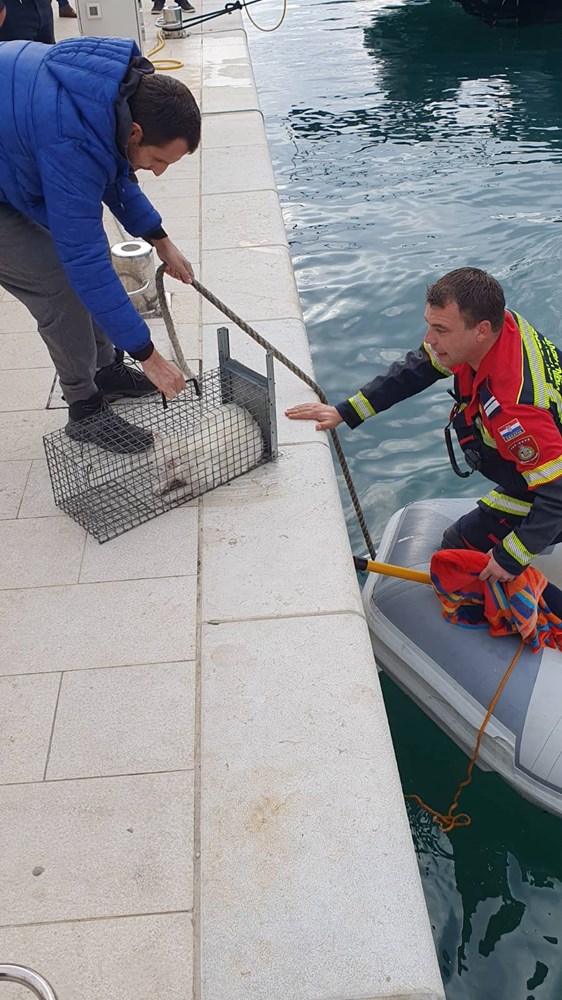 foto JVP Rovinj