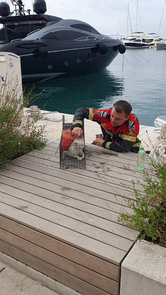 foto JVP Rovinj