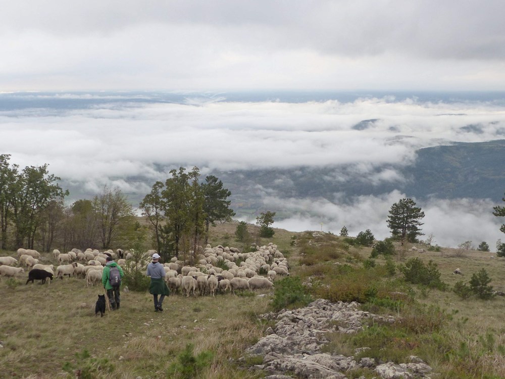 (Foto: Udruga Biom)