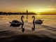 (Foto: Grad Poreč)