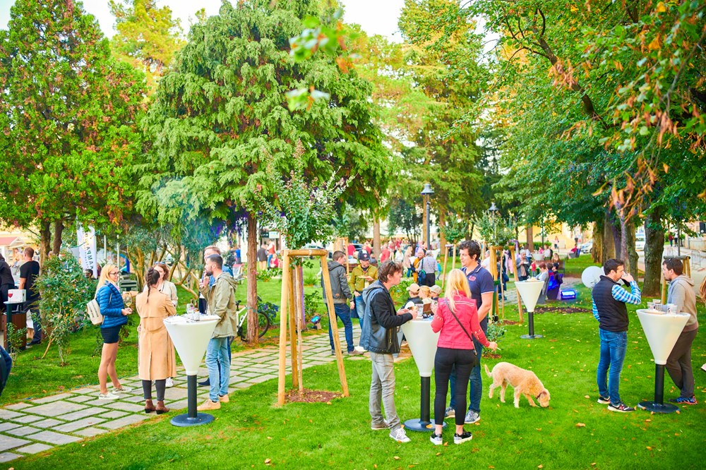 Park food fest u Novigradu