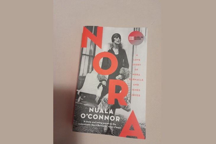 Roman irske spisateljice Nuale O'Connor sada u hrvatskom prijevodu