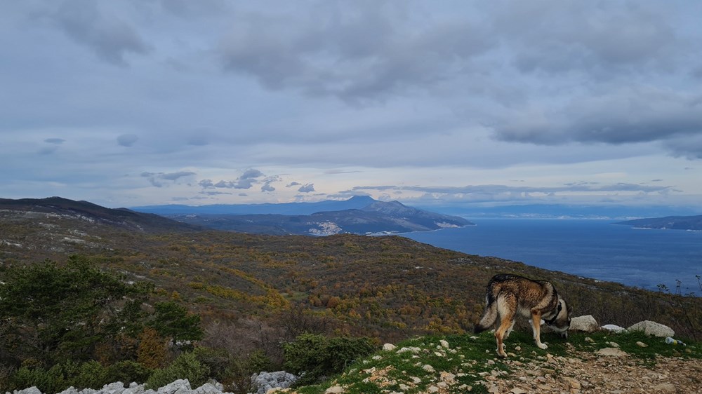 (Snimio Enes Seferagić)