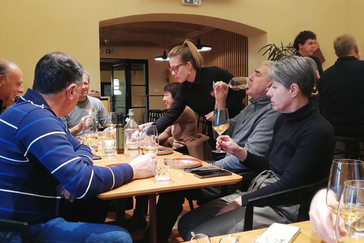 Degustacija extradjevičanskih maslinovih ulja i ekoloških vina