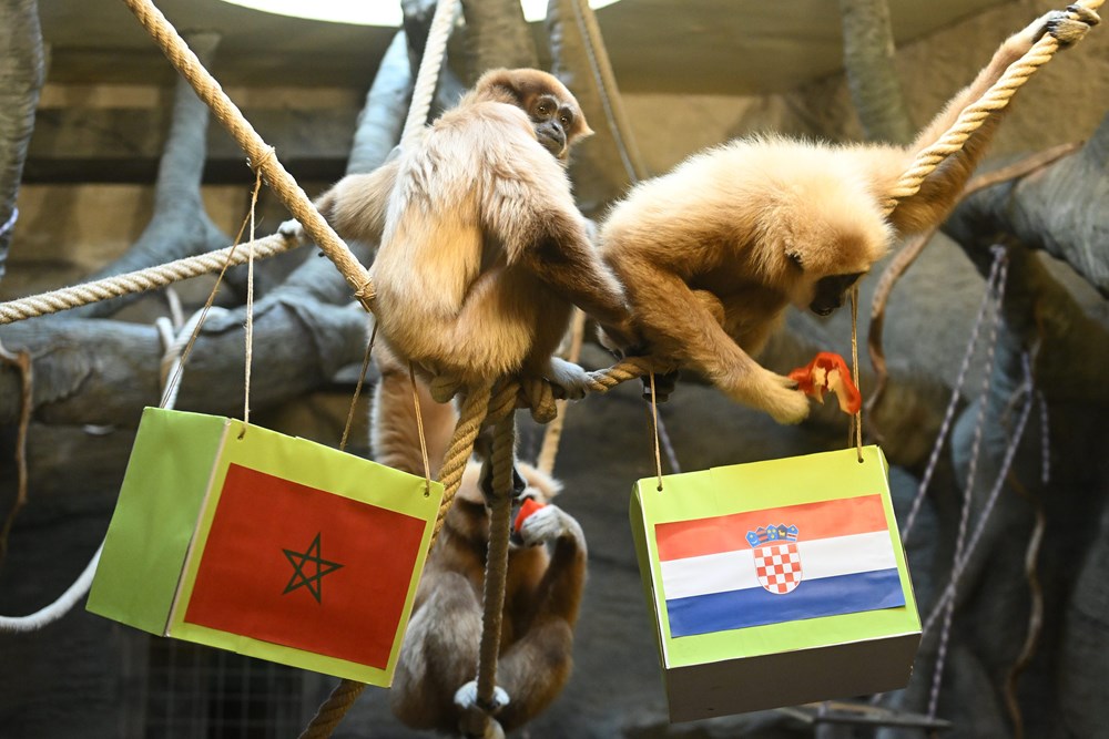 Foto: Goran Mehkek / CROPIX