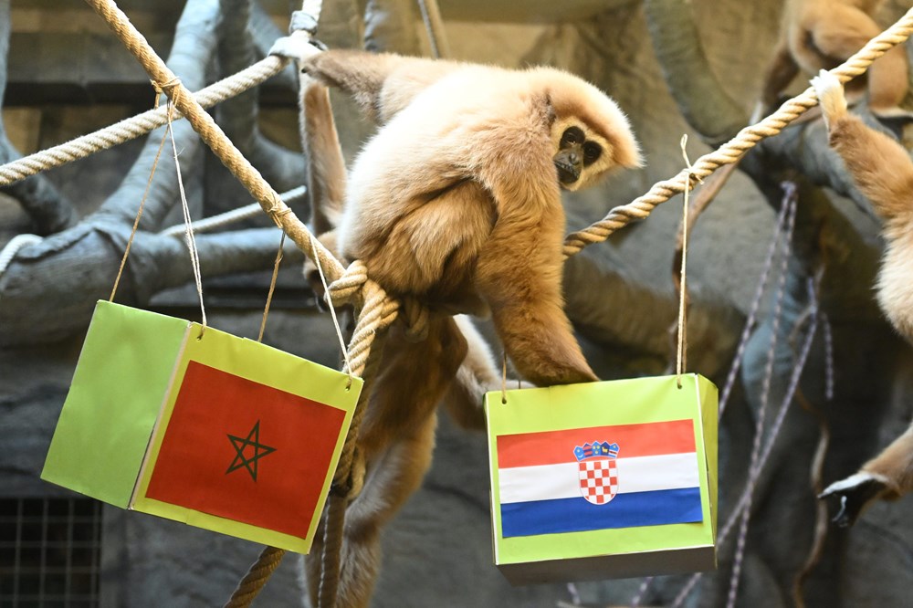 Foto: Goran Mehkek / CROPIX
