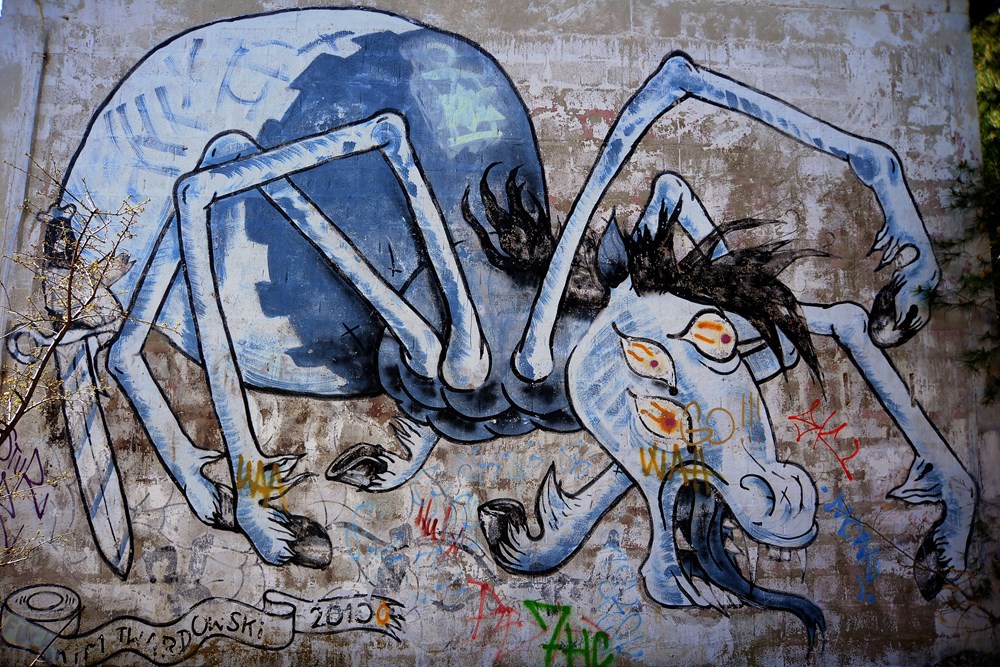 Zanimljivi grafiti na ruševinama