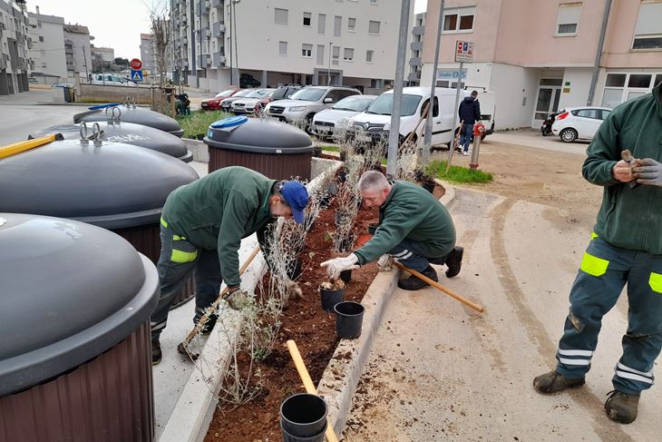 Sadnja bilja u Valturskoj