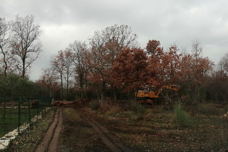 Bager na području Puhovog gaja kod Batvači (Snimio Bojan Žižović)