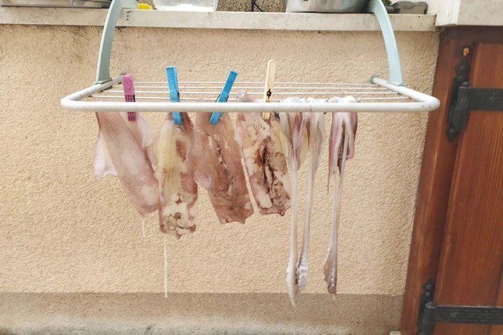 (Foto: Facebook Dnevna doza prosječnog Dalmatinca)