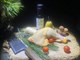 Pollo al pino