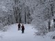 (Snimila Doris Kramarić)
